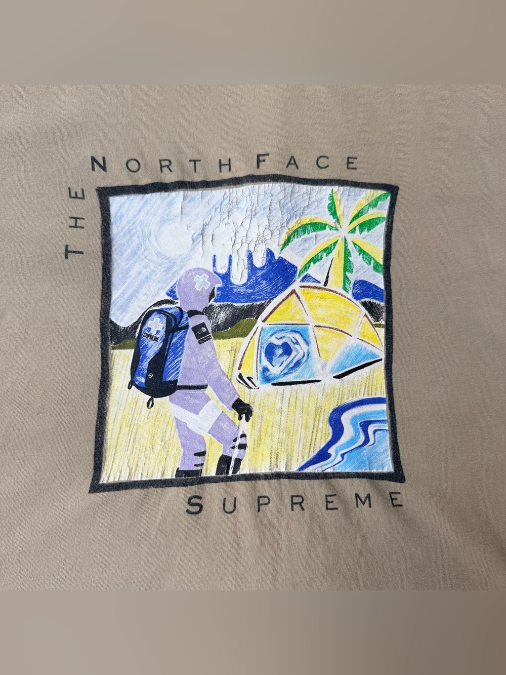 Supreme x The North Face Khaki Graphic Short Sleeve T-Shirt - Picture 2 of 4